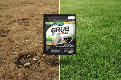 lawn gurb control before and after image